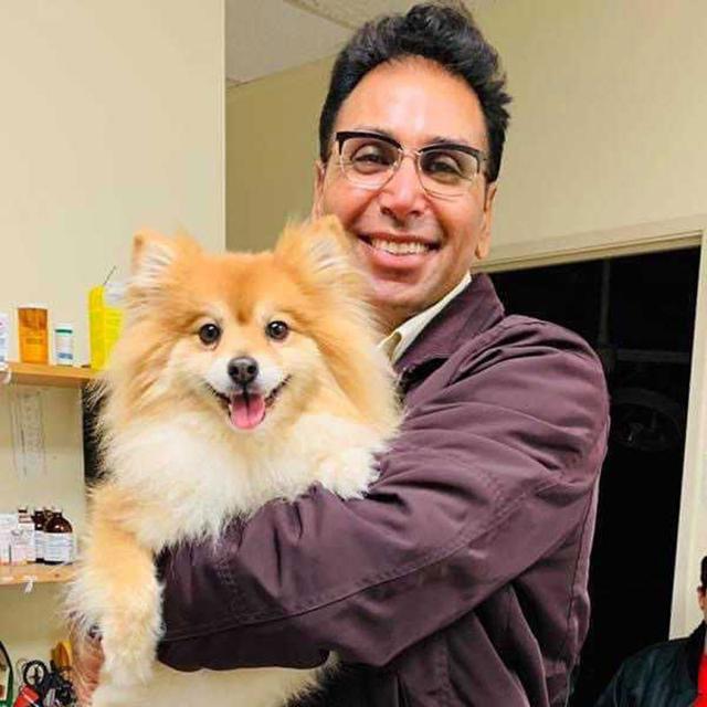 Dr. Bhupinder Gahra — Lead Veterinarian and Clinic Director at Cambrian Pet Clinic and Urgent Care
